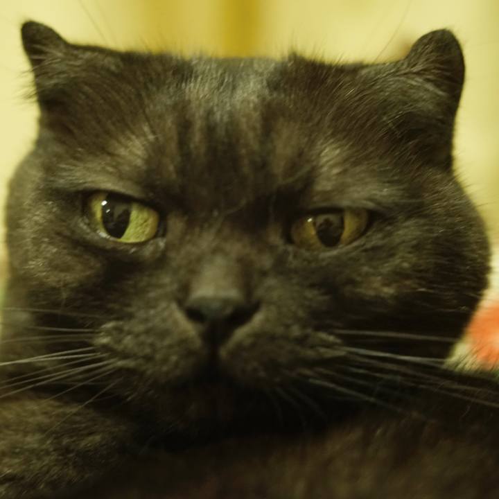 5d256dea 4729 4321 9be8 0686f27fadf1 1561911769308