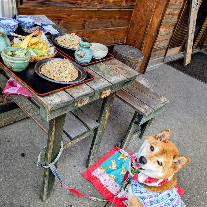 5d257966 0291 430c bdee 21d15a5958c9 1751680766320