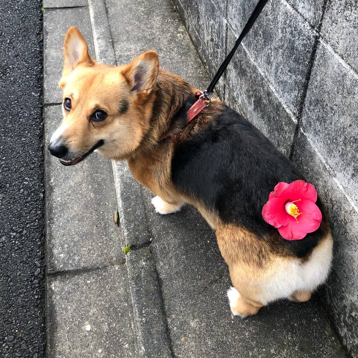 5d259744 b4b4 4c15 b07d dea2b49558bc 1763501532476