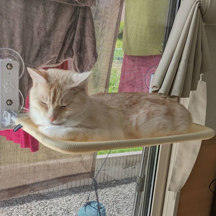 5d25aad7 57e7 4cca b7b8 0f6cbc665695 1691540477186