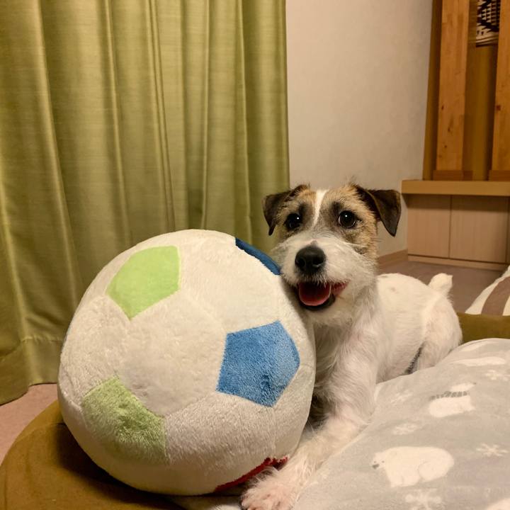 5d25d081 ee2c 467f 9a02 a1bafacc2806 1582462504170