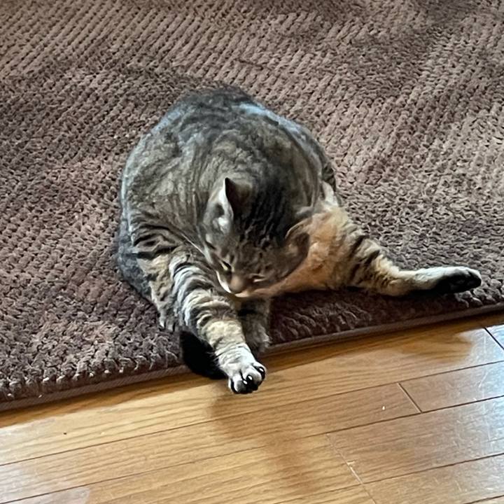 5d25d4c3 9c55 4035 8aca 2f0828131e35 1617169029679