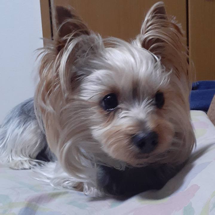 5d25d65e 3e10 477a aa7c 0b1914abd76b 1610356214533