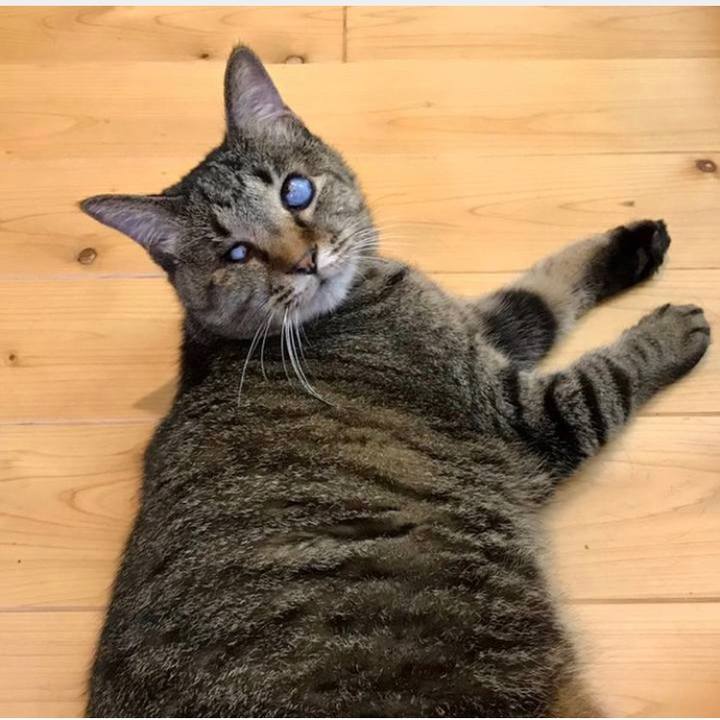 5d25ff46 87ce 4687 b9fd cffdebe7d00f 1692568984214