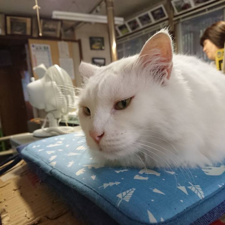 5d263cf0 2372 41e6 ab25 e336429a58e6 1562020087795