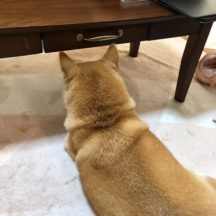 5d263e0a 5eb9 4ed8 897f d85c5dfe78bc 1587899474421