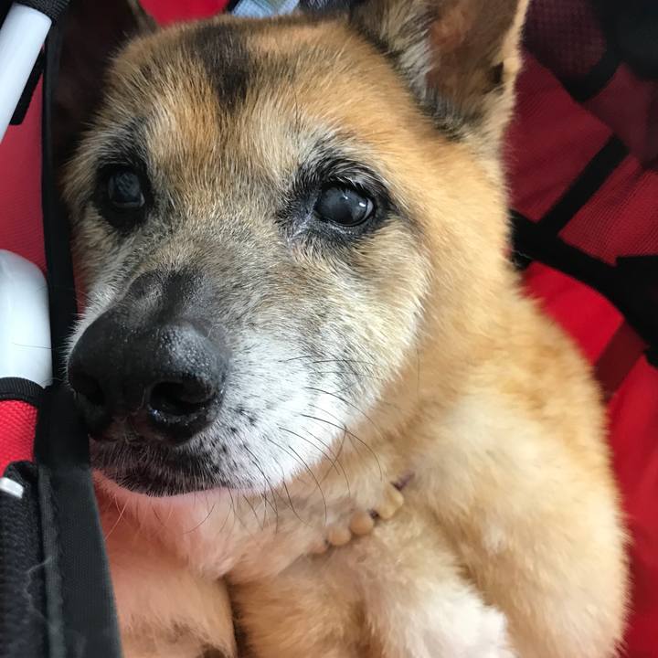 5d26665f 12d2 4650 95c9 0bf329ab5d63 1562927000513