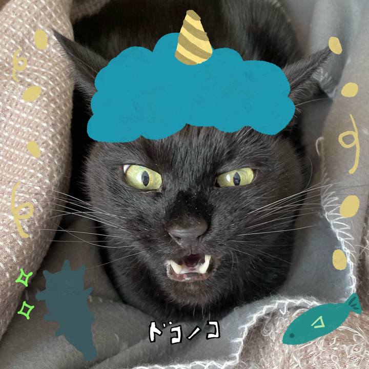 5d2676b2 9bfc 44e4 89c0 0e8f60be35b7 1706847894158