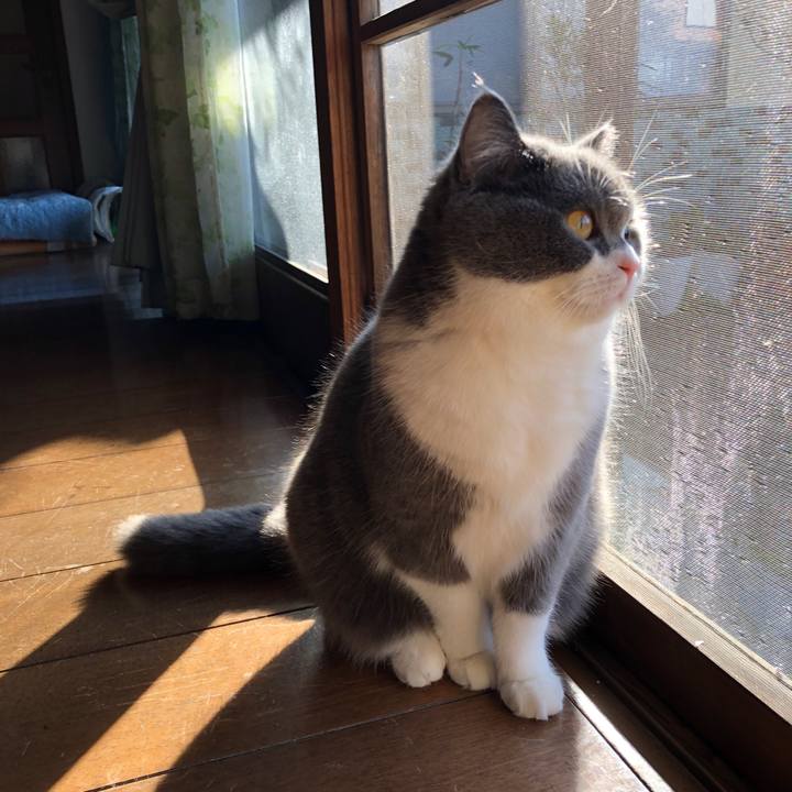 5d267c00 65e3 4114 bafd 9559464ca4fd 1551743164707