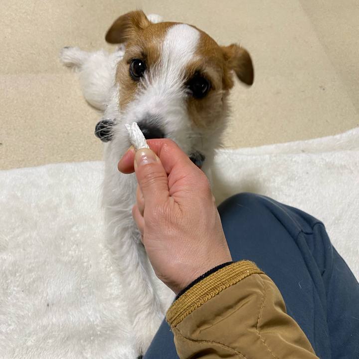 5d26a4dc 97a8 4ca5 b9b0 4cb32a719213 1738761231845