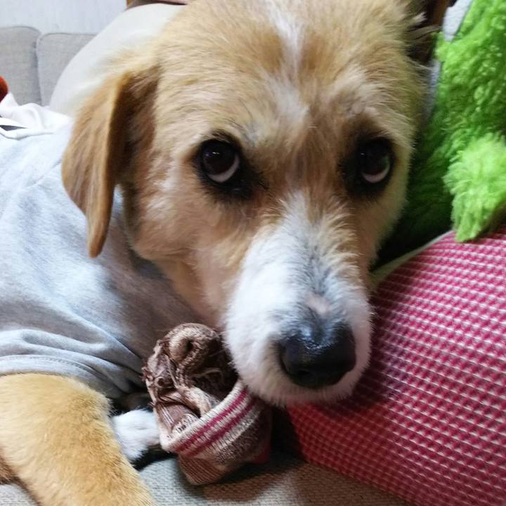 5d26de6b 8da8 4e14 8fb9 ea93f4920334 1521461023908