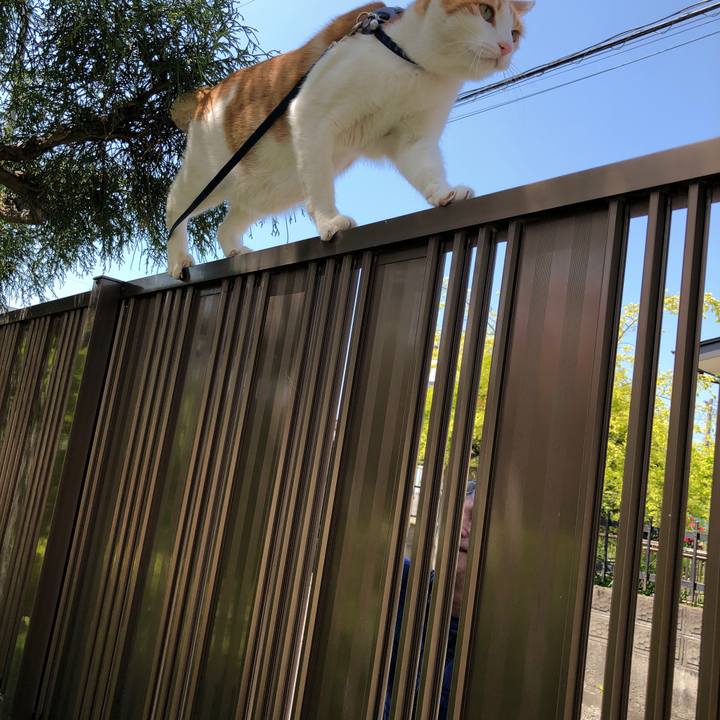 5d26e6f6 9e1f 48c4 b073 eb37b46dd29e 1557633939551