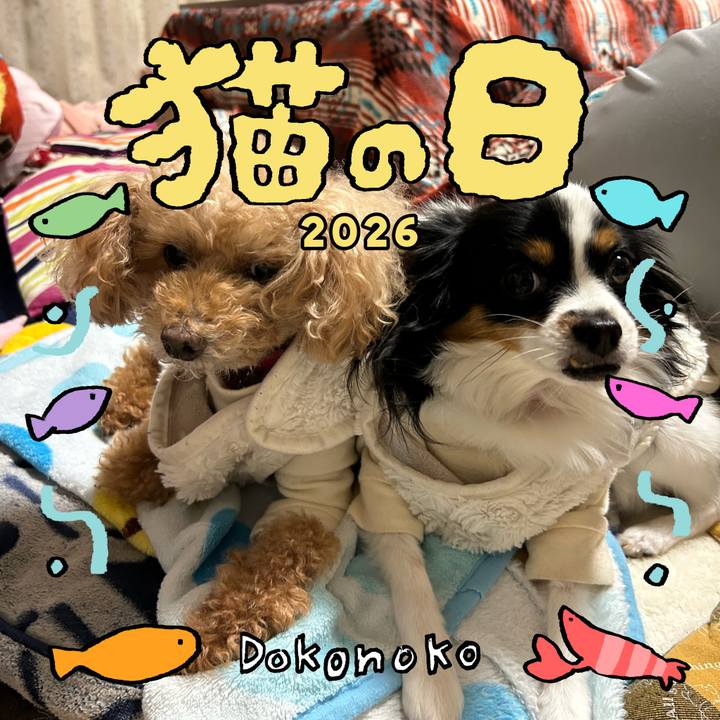 5d27228b 29da 4789 9fd1 3b72c6fe6970 1771720875932