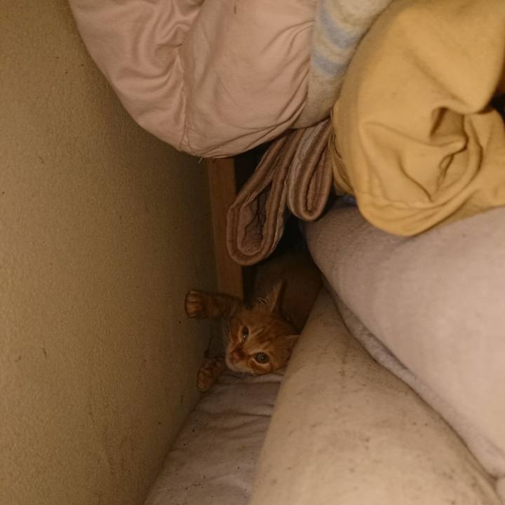 5d276bc5 aa53 4a57 900e ed19c6b54af1 1627942098123