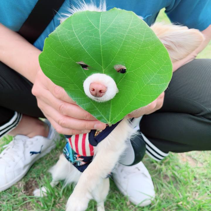 5d27a4e2 b360 42ee 9a2a 748b34df6871 1715500005502