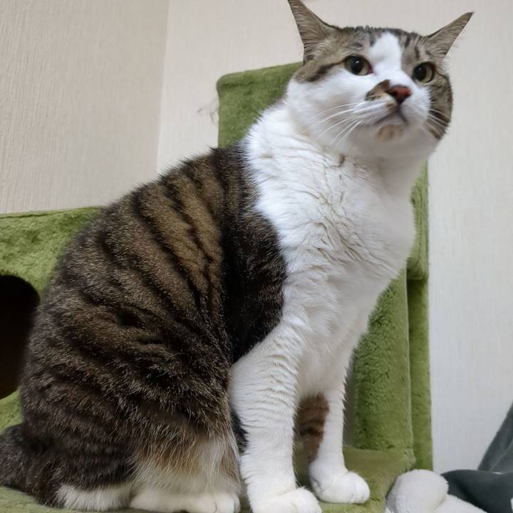 5d27a6a1 4158 4dcf 8676 c33462332766 1739449741386