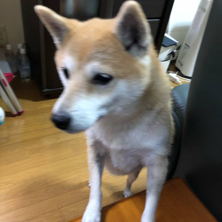 5d27cf13 ddc1 4055 a766 e3022772756b 1576822420830