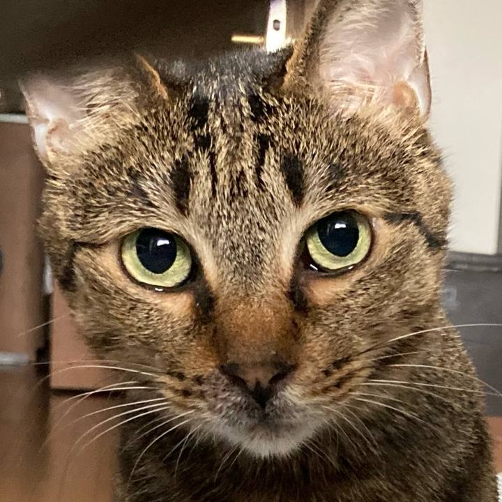 5d27d852 ba4e 4e1f b6f4 89a3b01a0119 1654778811037