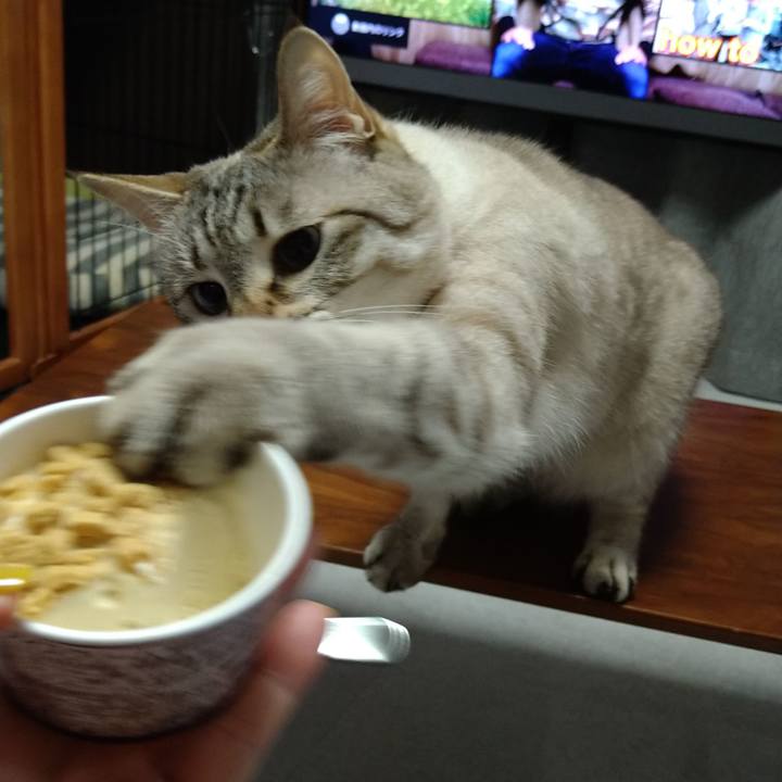 5d27ec21 b74f 434e afb4 40cfccbf181b 1655377233679