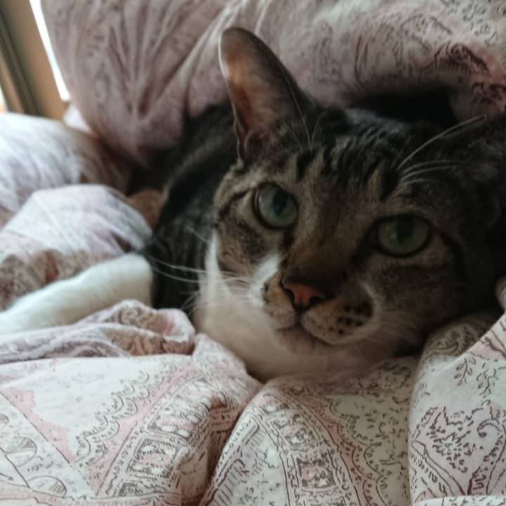 5d27ee7b 0873 4aac 9006 7681966aac99 1577696678937