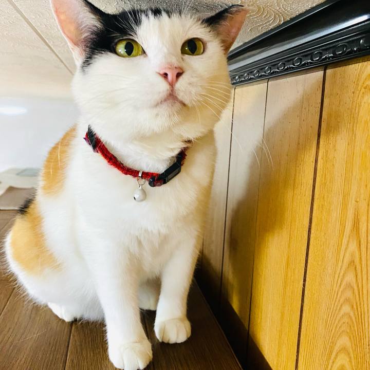 5d280c06 b494 4ce3 80c9 49d432ea7863 1691843017094