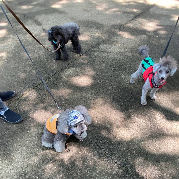 5d281366 1382 4729 8dd5 24e70a70a401 1597408008638