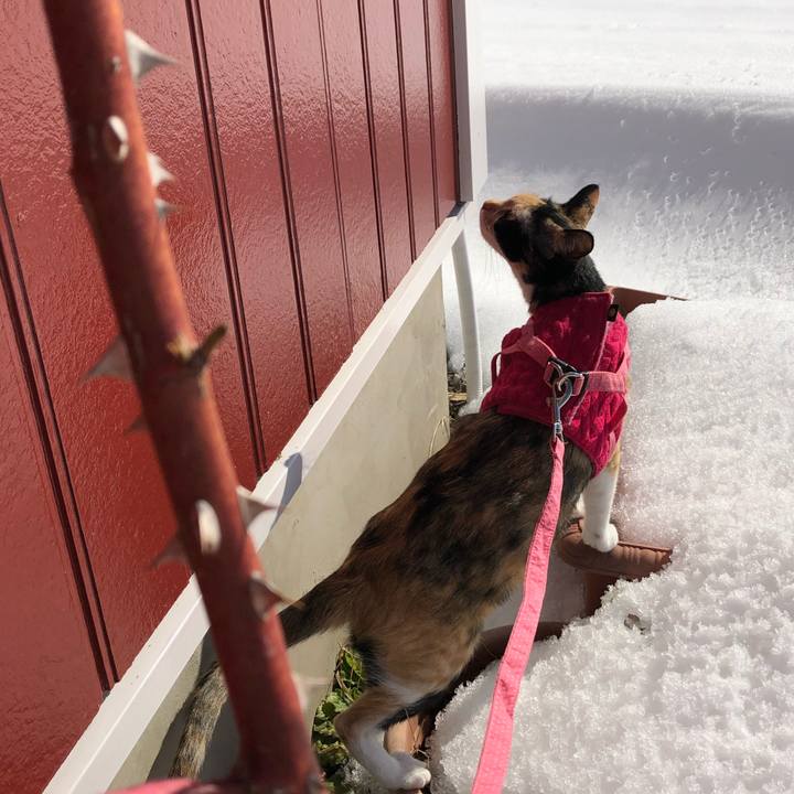 5d2833e5 096e 4a42 8f4e 8ea448a77706 1549115263237