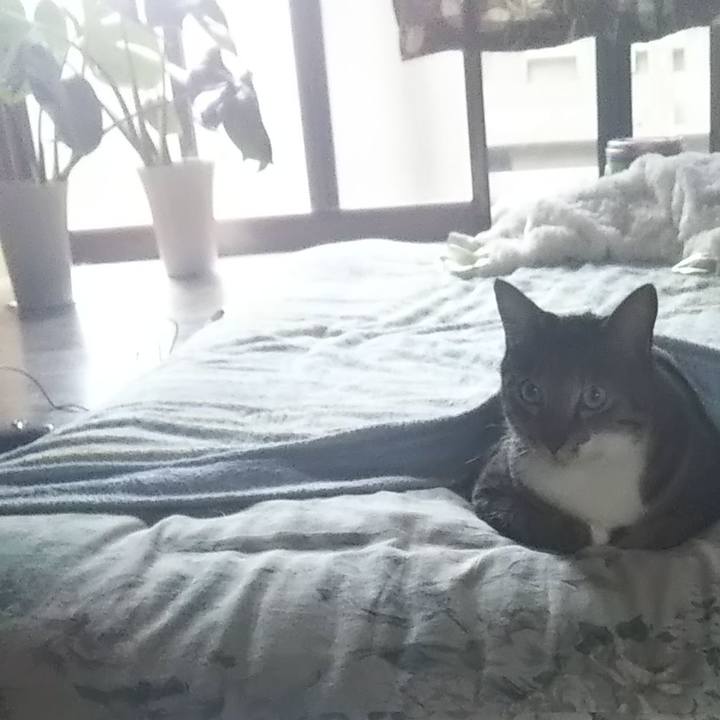 5d2864d0 5e21 4009 ab27 3adfc1a173df 1600856181891