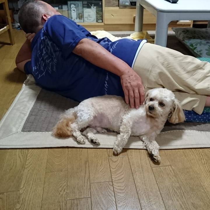 5d2871d9 f636 4e1d af59 8597700a07ee 1531652060447