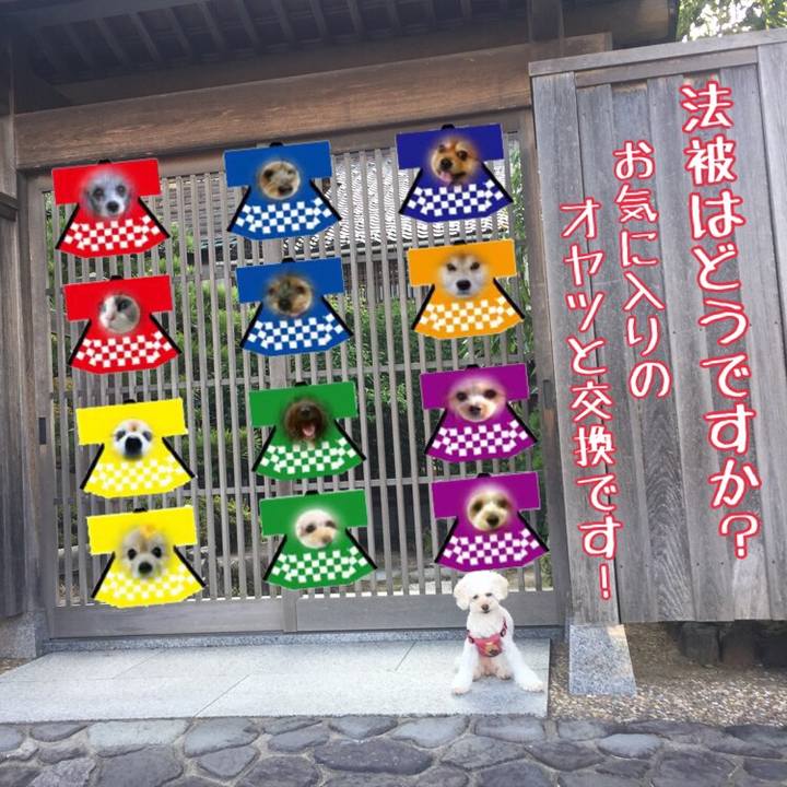 5d289193 ed1d 4301 926a 46073bceea92 1533367395044