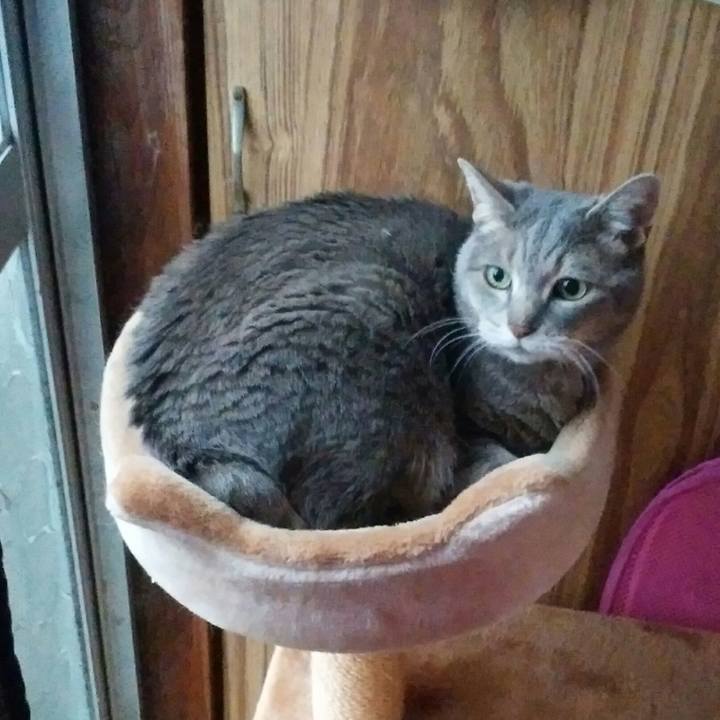 5d28b3f6 30bc 4e8b 81bb 9b30e4e8b17e 1588751954195