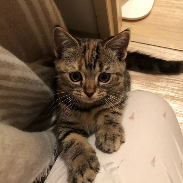 5d28f0bd bad7 4aea b6ce 2f064e8cf972 1576982171664