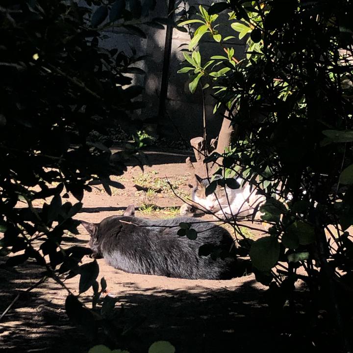 5d28f12c 13bf 4ea7 aa59 6c2499f9e142 1644764364281