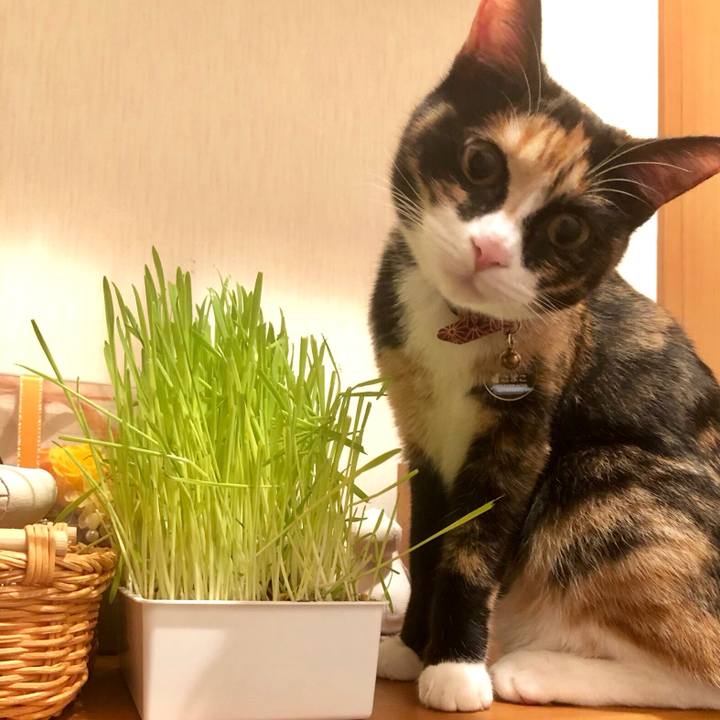 5d292b9d 10b0 4dd8 b2e2 2168ff69371d 1558274953200