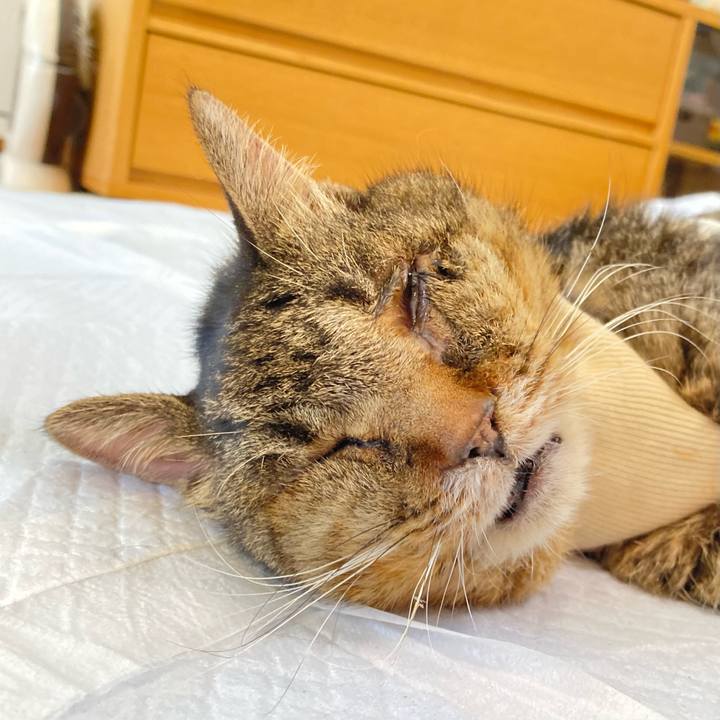 5d29446d f482 46e3 b13c 3dfb856e17d9 1688963743905