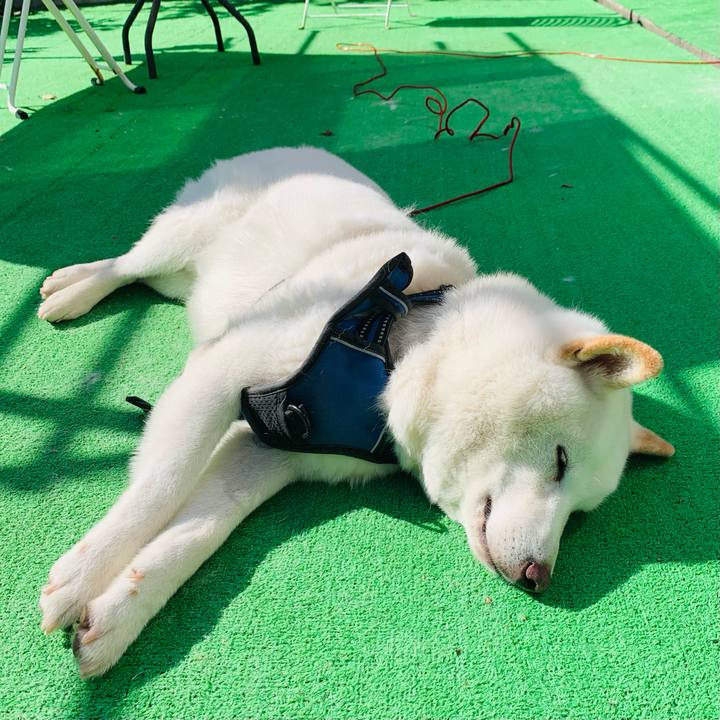 5d294904 6d1a 47a3 b4e8 c3a47846c7bf 1632542495264