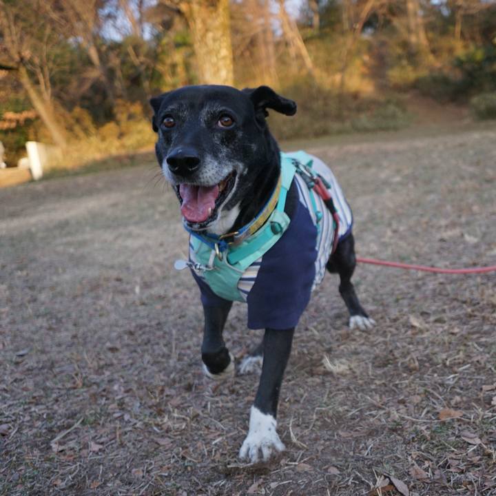 5d294c03 3449 4747 9345 1f1a10146f18 1769731745825