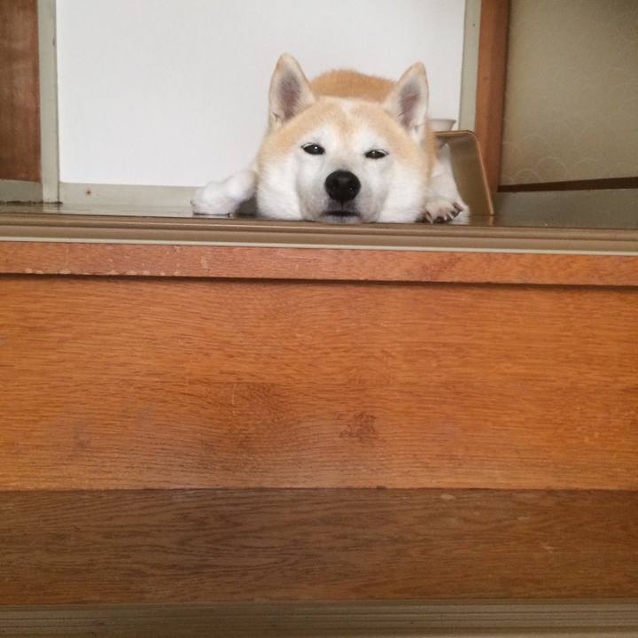 5d294ca0 0467 45e2 9dc0 d96ecadcb548 1763967263413