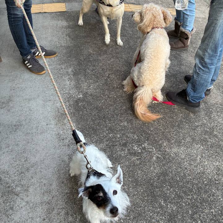 5d296d6a 3300 4859 bb68 b3d9a3f371c4 1771844142452