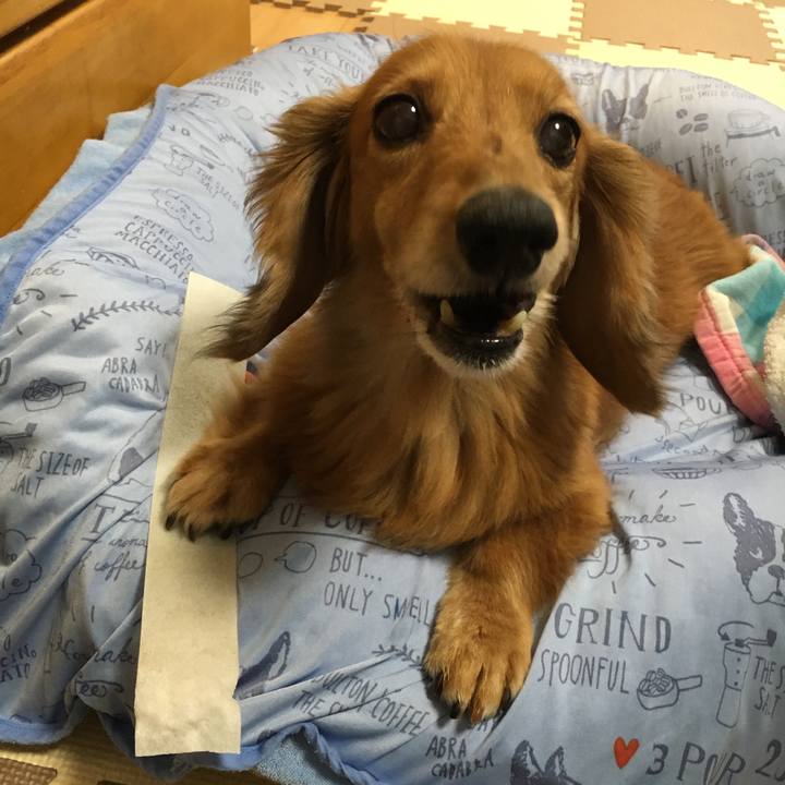 5d29a87c 868e 4acf b1a4 5b2433eba52d 1598097025096