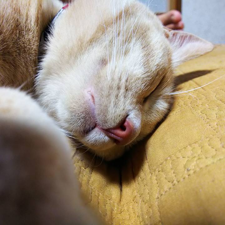 5d29a963 7b15 45c1 9cc9 4d9ccd3dd000 1558182894210