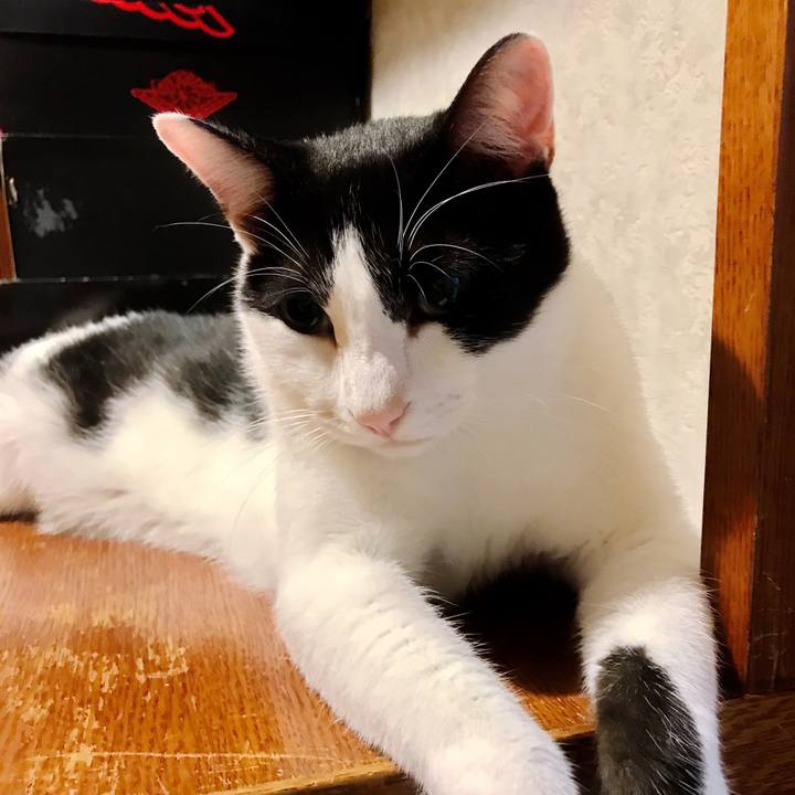 5d29b281 3b1b 43a9 a3d2 ebde2251ca70 1508249693056