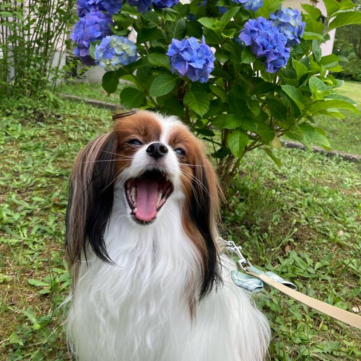 5d29be87 2066 482e a07a 23ca11ac3991 1658649234425