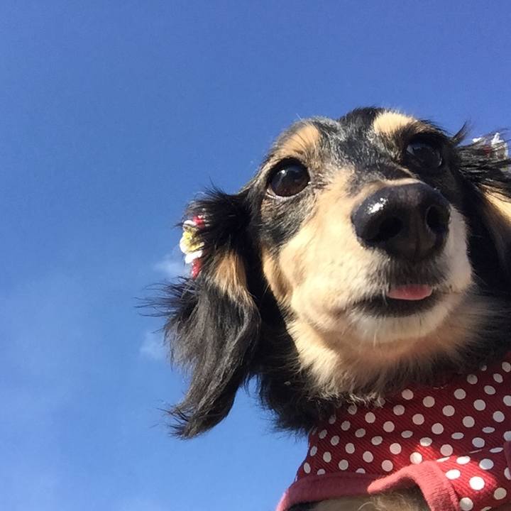 5d29c710 7415 4bb9 8dc2 e3f08a22e618 1517795285209