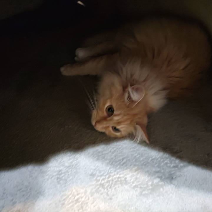 5d29db56 e12a 4f06 af0e cb05dcd5a868 1705965296105