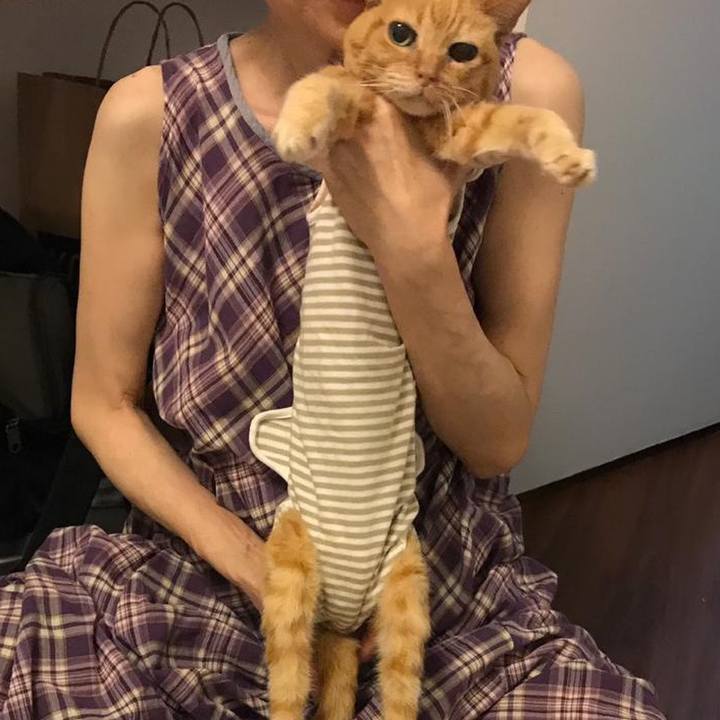 5d2a312f edf2 4032 a602 c80cda309915 1550540516336