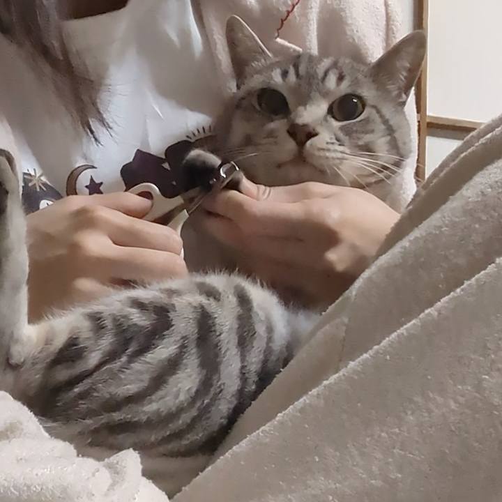 5d2a3b53 724c 4b6c b9b7 1f9e48062837 1695642656723