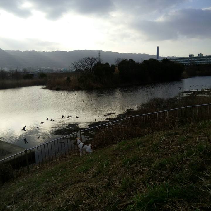 5d2a7e93 530e 4bc9 92db 31122f221410 1519966560576