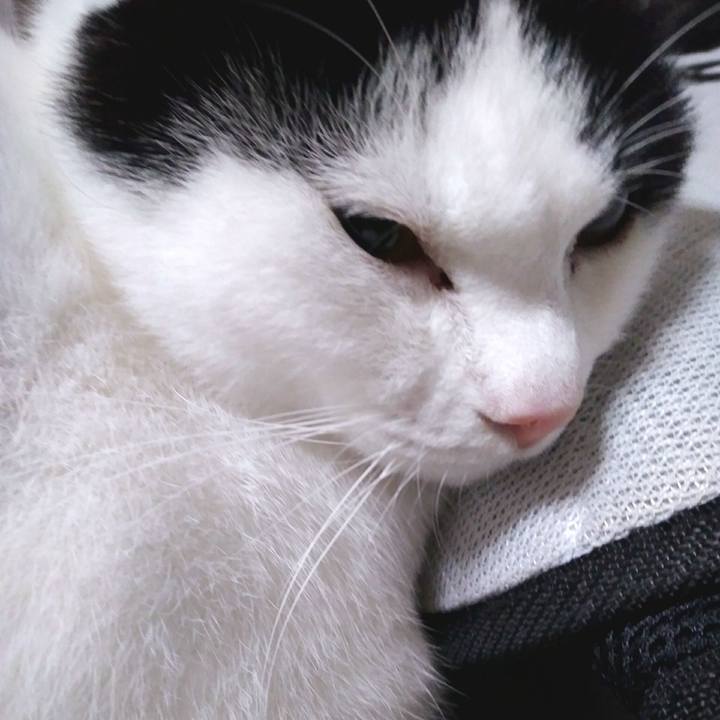 5d2a81df 942e 4a78 8004 ee42ca9307e2 1553606559441