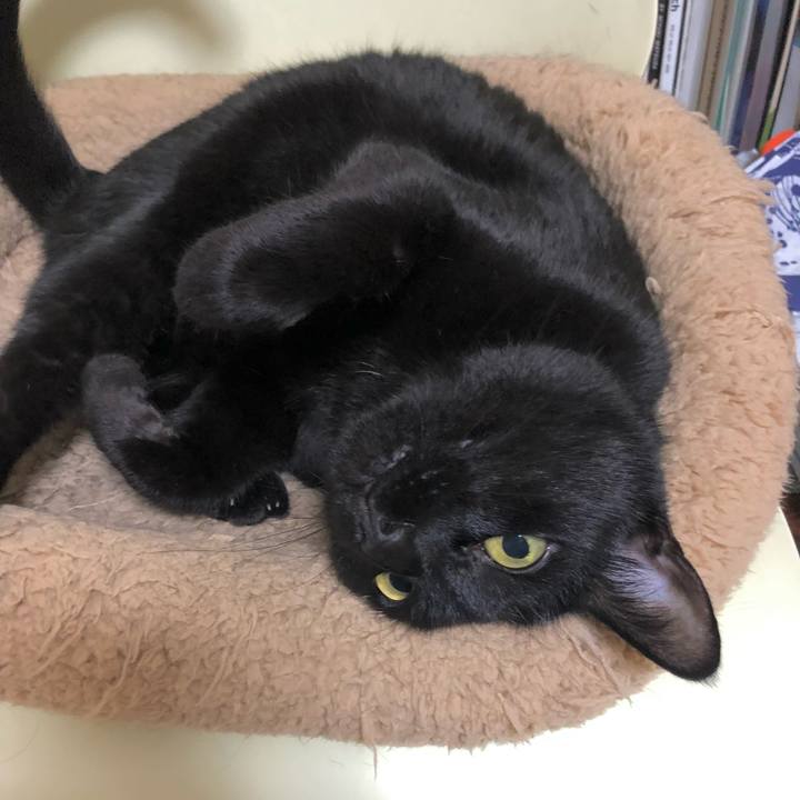 5d2aab73 d891 4f10 b8a7 921f51e1dc04 1612353065254